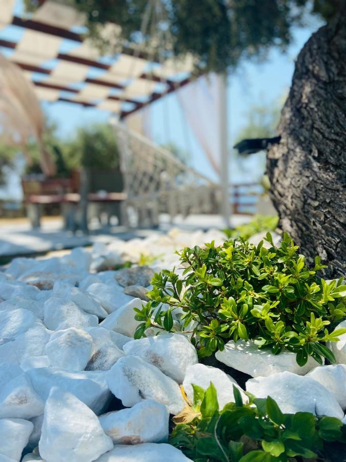 Dream House Villa Aliki  Exterior photo